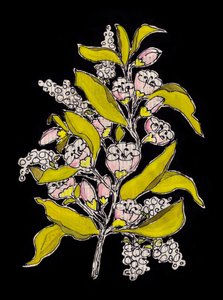 Botanische Blüte auf Schwarz von Annick