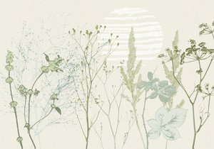 Gedämpfter botanischer Sonnenaufgang von Annick