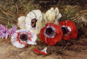 Anemonen von Annie Feray Mutrie