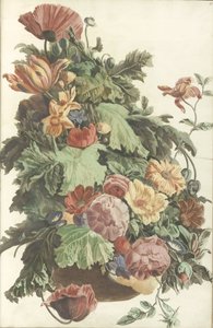 Blumen und Blätter in einem Topf