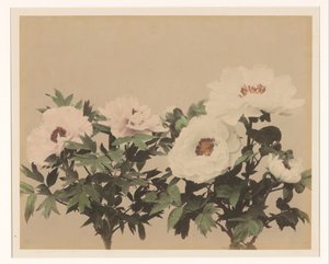 Blumenstillleben mit Pfingstrosen von Anonymous