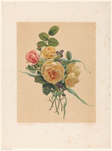 Strauß Rosen und Veilchen von Anonymous
