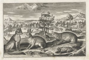 Waldtiere Vierfüßige Tiere (Serientitel)
