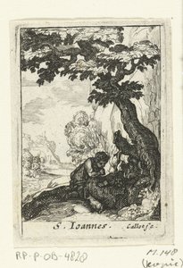 Der reuige Johannes der Täufer (S. Ioannes) (De boetvaardige heiligen)