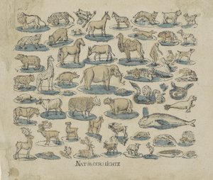 Tiere von Anonymous