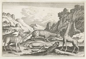 Exotische Tiere