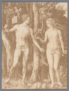 Fotoreproduktion des Kupferstichs Adam und Eva von Albrecht Dürer von Anonymous