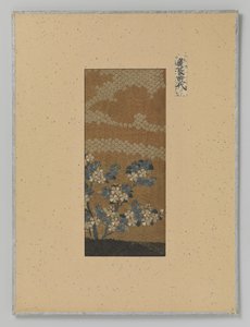 Textilfragment