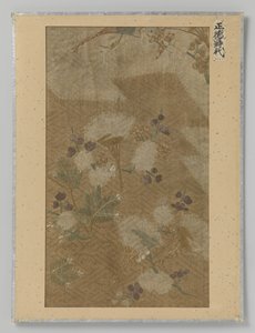 Textilfragment