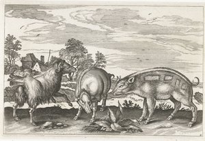 Ziege und Schweine Vierbeinige Tiere (Serientitel) Animalivm Qvaddrvpedvm (Serientitel)
