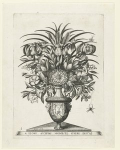Groteske Vase mit zwei Maskarons an den Seiten eines Bukranions von Anonymous