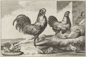 Huhn, Hähne und Küken von Anonymous