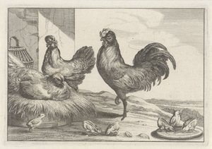 Huhn, Hähne und Küken von Anonymous