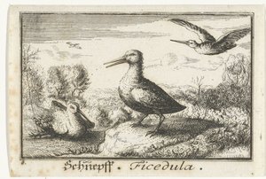 Landschaft mit drei Schnepfen