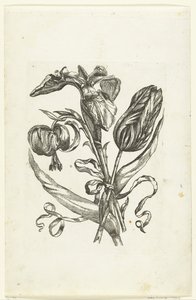Lilie, Iris und Tulpe von Anonymous