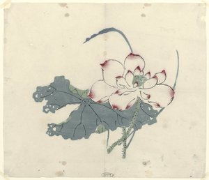 Lotus von Anonymous