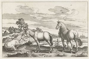 Pferd und Esel von Anonymous