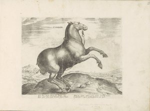 Pferd aus Skythien von Anonymous