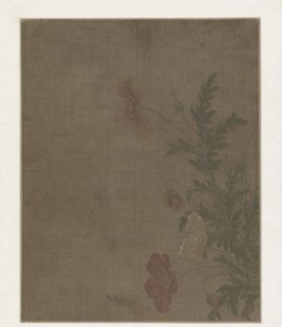 Mohnblumen