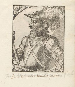 Porträt von Fernando d
