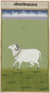 Widder mit goldenem Halsband und verzierten Enden seiner Hörner