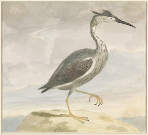 Reiher