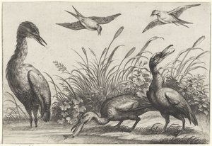 Reiher und Schwalben