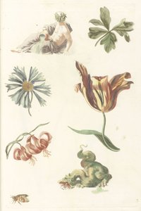 Flussgott, ein Drache und vier Blumen