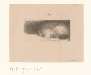 Schlafender Welpe