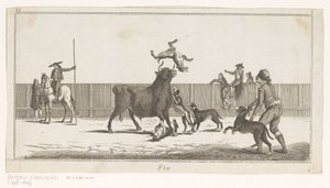 Stier angegriffen von Hunden von Anonymous