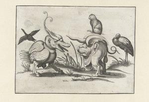 Zwei Monster mit Katze, Gans und Storch von Anonymous