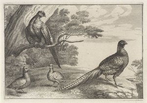 Vier Vögel von Anonymous
