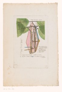 Flugmaschine von Mr Blanchard (Coupe de trois quarts) von Anonymous
