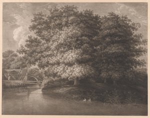 Wassermühle bei einer großen Eiche von Anonymous