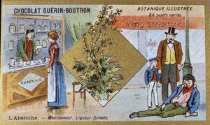 Absinth: Medizin und tödlicher Likör. Werbechromolithographie für Guerin-Boutron-Schokoladen, Ende 19. Jahrhundert. Illustrierte Botanische Serie. von Anonymous Anonymous