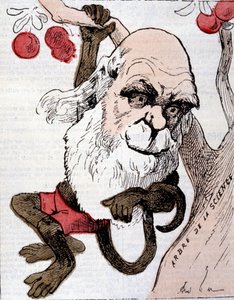 Karikatur von Charles Robert Darwin (1809 - 1882) in "La Lune" von Anonymous Anonymous