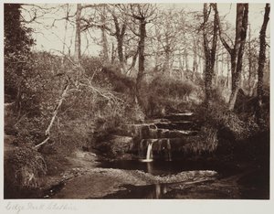 Edge Park, Cheshire, ca. 1865