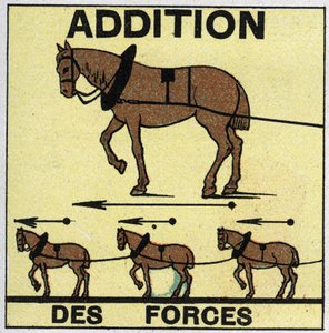 Kräfte: Addition von Kräften. Anonyme Illustration von 1925. Private Sammlung. von Anonymous Anonymous