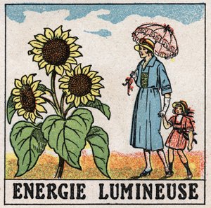Lichtenergie: Sonnenblume wird von Sonnenlicht beeinflusst. Anonyme Illustration von 1925. Private Sammlung. von Anonymous Anonymous