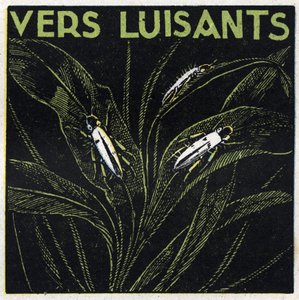 Phosphoreszenz: Leuchtendes Grün. Anonyme Illustration von 1925. Private Sammlung. von Anonymous Anonymous