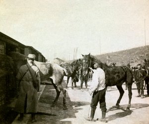 Fotografie aus einem persönlichen Album eines Infanterieleutnants während der ersten Monate des Ersten Weltkriegs