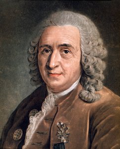 Porträt von Charles Linné (Carl von Linné, Linnéus 1707 - 1778), schwedischer Naturforscher. Anonymes Gemälde. 18. Jahrhundert. Mailand, private Sammlung