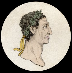 Porträt von Kaiser Nerva (Marcus Cocceius Nerva) (26-98 n. Chr.). Gravur des 19. Jahrhunderts. Mailänder