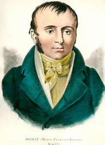 Porträt von Francois Xavier Bichat (1771-1802), französischer Arzt. Gravur aus dem 19. Jahrhundert. Private Sammlung von Anonymous Anonymous