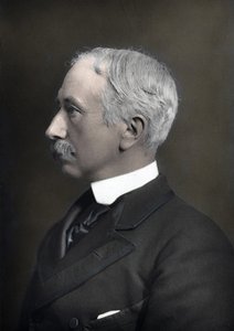 Porträt des Marschalls Viscount Garnet Joseph Wolseley (1833-1913), Oberbefehlshaber der britischen Armee von Anonymous Anonymous