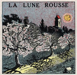Strahlung und Leitfähigkeit: Der rote Mond, dessen Licht die Blütenknospen verbrennt. Anonyme Illustration von 1925. Private Sammlung. von Anonymous Anonymous