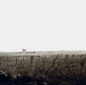 Stereoskopische Glasplatte über den Ersten Weltkrieg