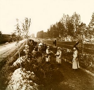 Stereoskopische Glasplatte über den Ersten Weltkrieg (1., Iere