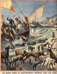 Die 80.000 streunenden Hunde von Konstantinopel (Istanbul, Türkei) werden auf die Insel Oxias gebracht. Gravur in „Le petit parisien“ am 08.07.1910. Private Sammlung.