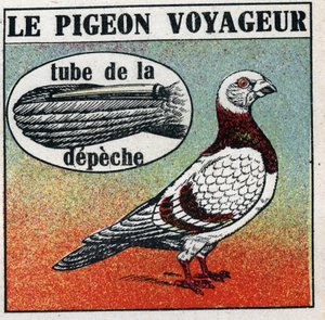 Die Post: Die Reisetaube. Anonyme Illustration von 1925. Private Sammlung. von Anonymous Anonymous